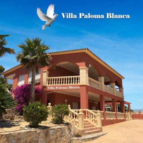 Villa Paloma Blanca Альбир Экстерьер фото